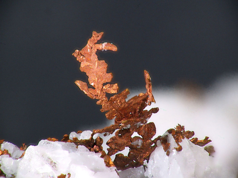 photo du mois - février 2015
champ 8 mm Cuivre natif - Mont Roc - Tarn.jpg