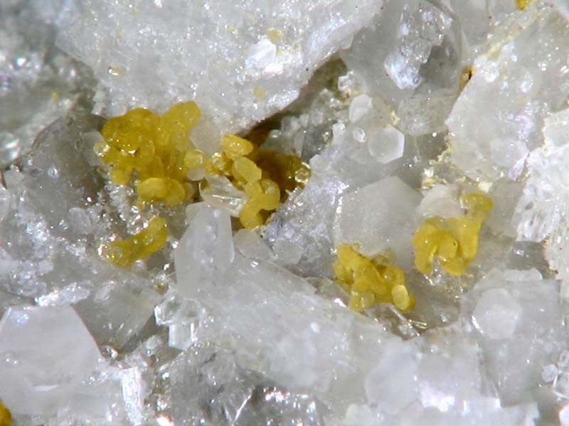 champ 6mm Clinochlore-Calcite Trimouns Ariège - DJ - ch 6mm.jpg