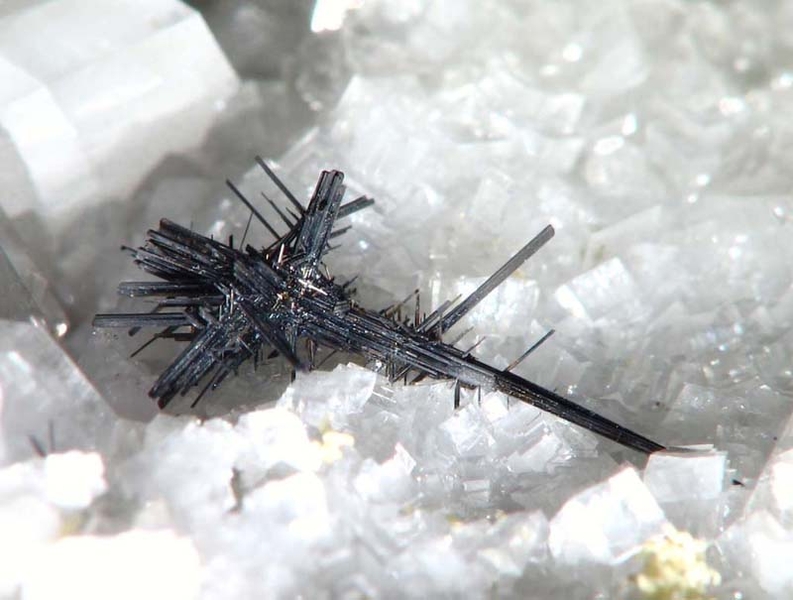 champ 10mm Rutile Trimouns Ariege - DJ - ch 10mm.jpg