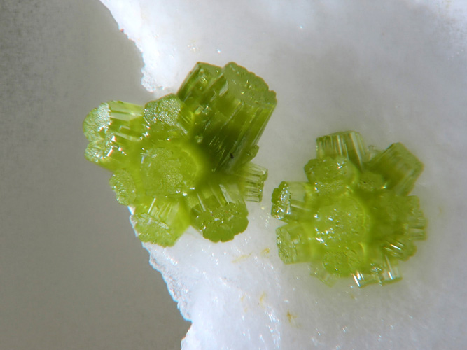 champ 3mm Pyromorphite Mas-Dieu Gard - DJ - ch-3mm.jpg