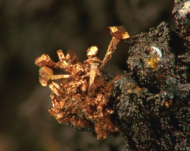 champ 4mm
photo du mois - septembre 2015 CUIVRE 0206 le moulinal AFM.jpg