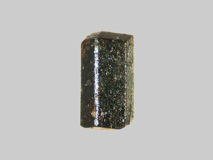 Hornblende - Riou Pezzouliou - Espaly-Saint-Marcel - Haute-Loire - FP - Taille 1mm - Hornblende - Riou Pezzouliou - Espaly-Saint-Marcel - Haute-Loire - FP - Taille 1mm.jpg Hornblende - Riou Pezzouliou - Espaly-Saint-Marcel - Haute-Loire - FP - Taille 1mm.jpg