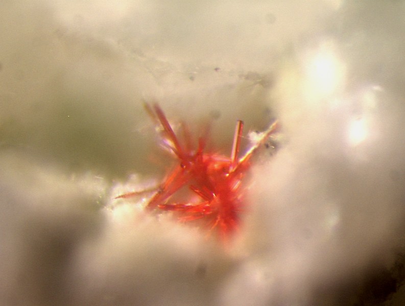 champ 2,3mm Perroudite_x63.jpg