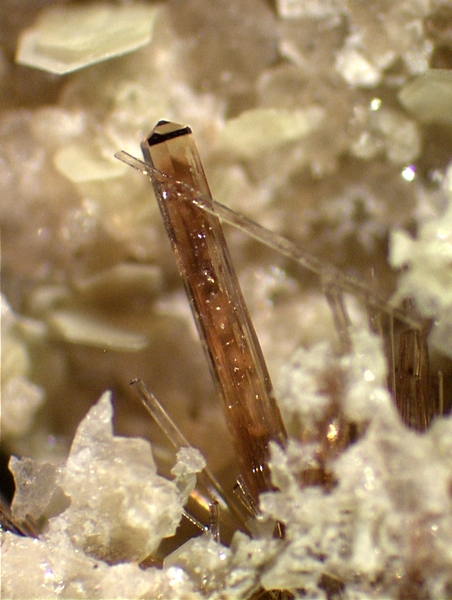 champ 3,5mm Vesuvianit1_x42.jpg