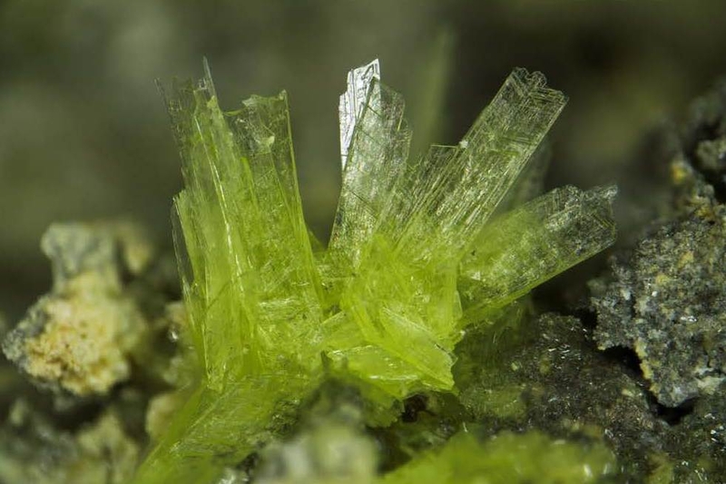 champ 3mm Leydetite Couv 4 2013.jpg