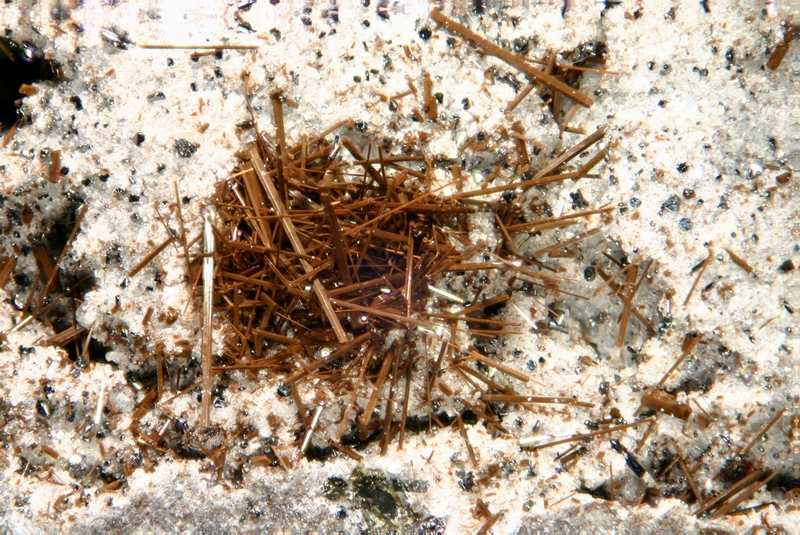 cristal 3mm Pyroxène - Ravin des Chèvres - Le Mont-Dore - Puy de Dôme - JCC -Cristal 3 mm.jpg