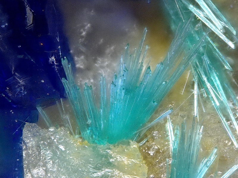 champ 1mm CG_MIXITE1x310.jpg