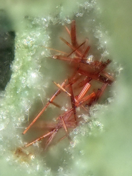 champ 0,30mm 2CG_PERROUDITE5x1000.jpg