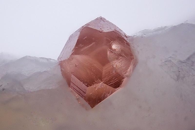 cristal 0,6mm
photo du mois : novembre 2015 grenat tele anneau leds 10x A b (Copier cr 0,6mm).jpg