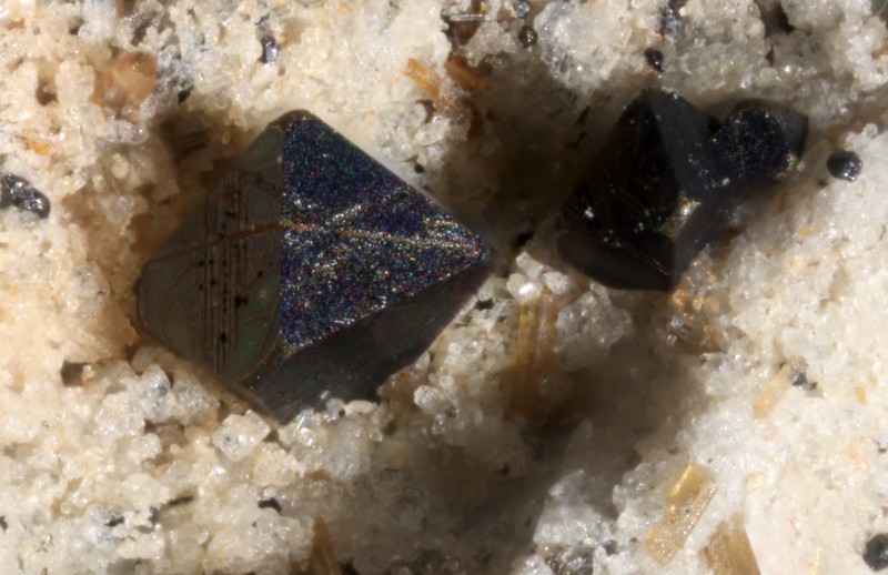 champ 1,3mm
Donateur : Gérard Troy
163134-magnetite-GB-chp 1,3mm.jpg