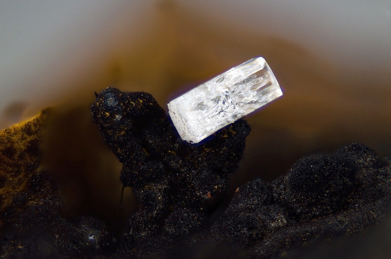 champ3mm N°1148 Willemite-Goethite Rivet Carrière Peyrebrune Montredon-Labessonnié Tarn France - Champ 3mm.JPG