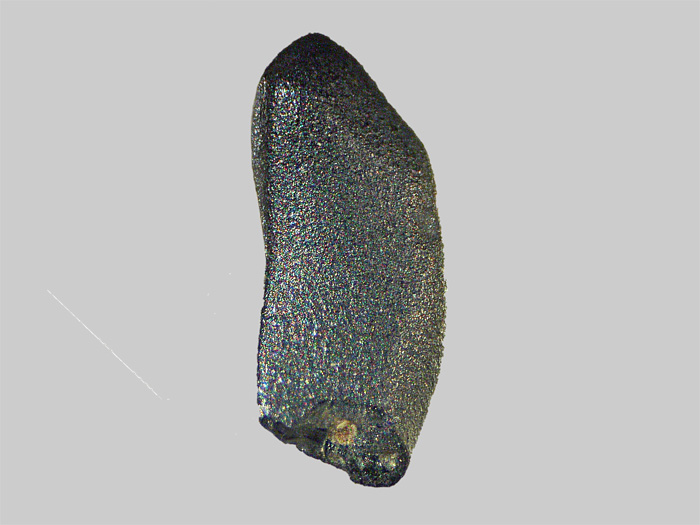 Saphir - Ruisseau du Breuil - Cougeac - St-Paulien - Haute-Loire - FP - Taille 3mm - Saphir - Ruisseau du Breuil - Cougeac - St-Paulien - Haute-Loire - FP - Taille 3mm.jpg Saphir - Ruisseau du Breuil - Cougeac - St-Paulien - Haute-Loire - FP - Taille 3mm.jpg