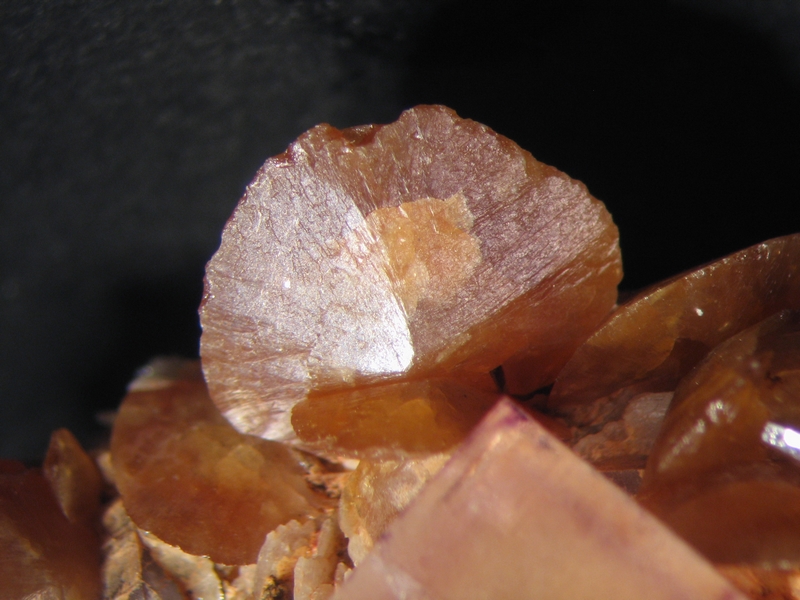 Donateur : Jean-Luc Designolle 169109-Wulfenite - Lantignié.jpg