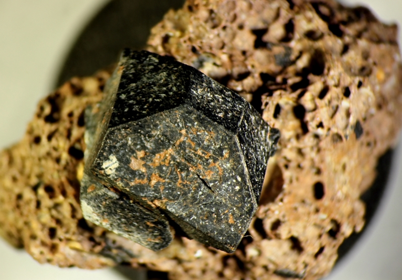 champ 1,6cm
Donateur : Philippe Berger-Sabatel 143094-augite chp 1.6cm.JPG
