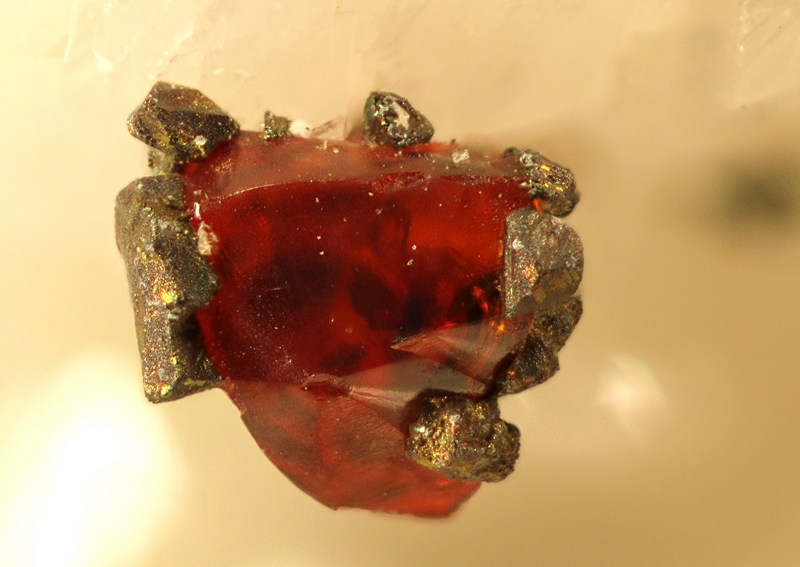 champ 7,5mm Blende Loiras 34 - 7,5mm phot G LANDONxxxx.jpg