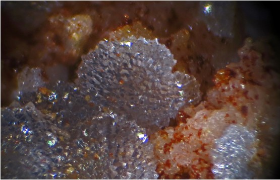 champ 1mm
2ème prix concours micro scorodite_rompas.jpg