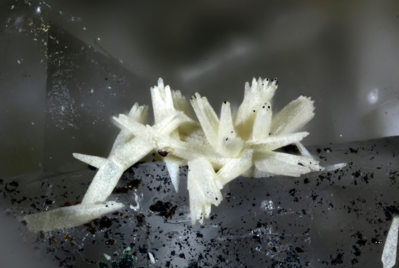 champ 2mm siderite 9293 (2)mt roc champ 2mm.jpg