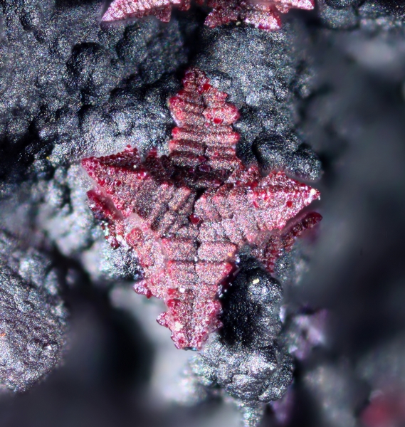 champ 1,5mm cuprite 9462 Moulinal champ 1,5mm.jpg