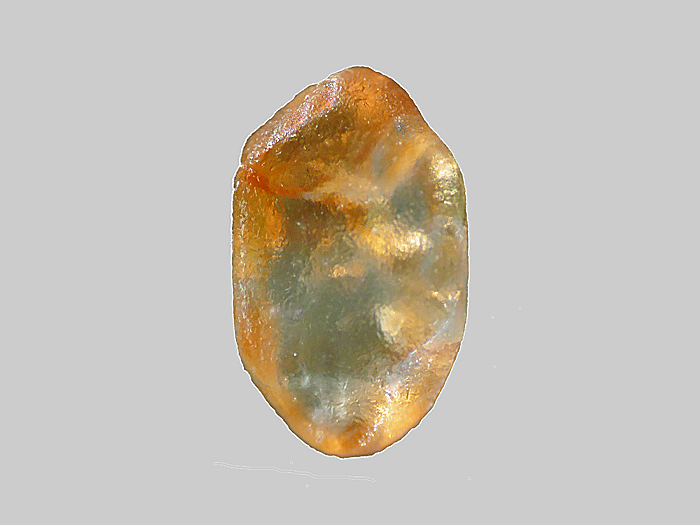 Zircon - l'Ailloux - Sugères - Puy-de-Dôme - FP - Taille 2mm - Zircon - l'Ailloux - Sugères - Puy-de-Dôme - FP - Taille 2mm.jpg Zircon - l'Ailloux - Sugères - Puy-de-Dôme - FP - Taille 2mm.jpg