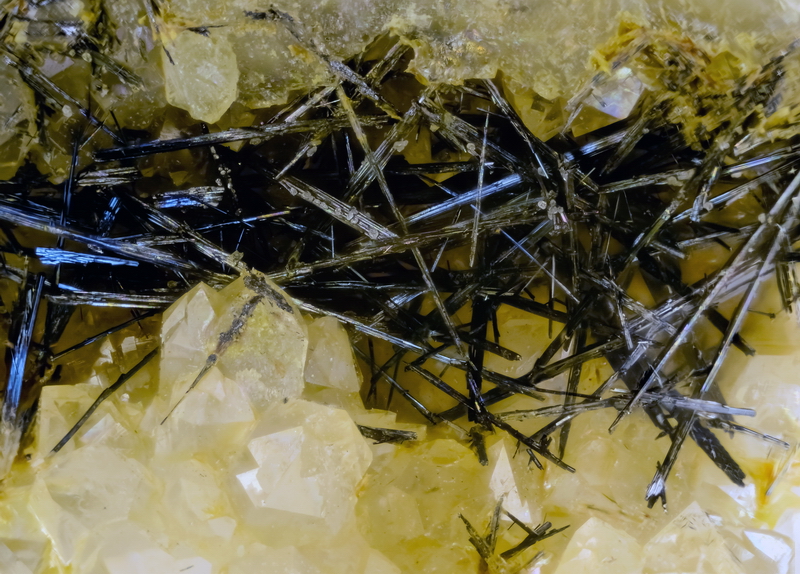 champ 7mm
collection : Yvan Gloy Stibnite-Charbes-Val de Villé-Bas Rhin-MF-7 mm.jpg