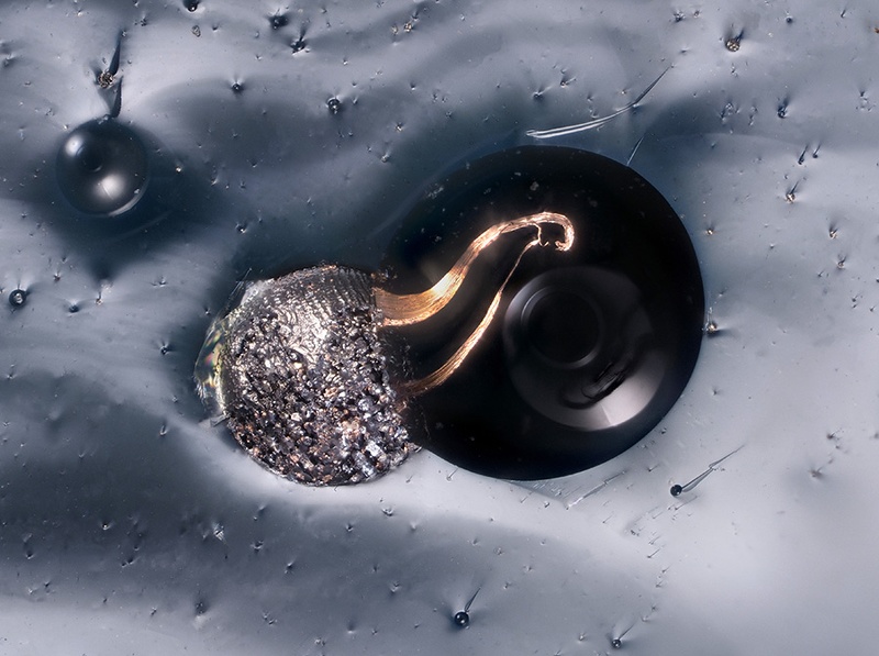 champ 0,9mm Cuivre - Chessy-les-Mines - Rhône champ 0,9.jpg