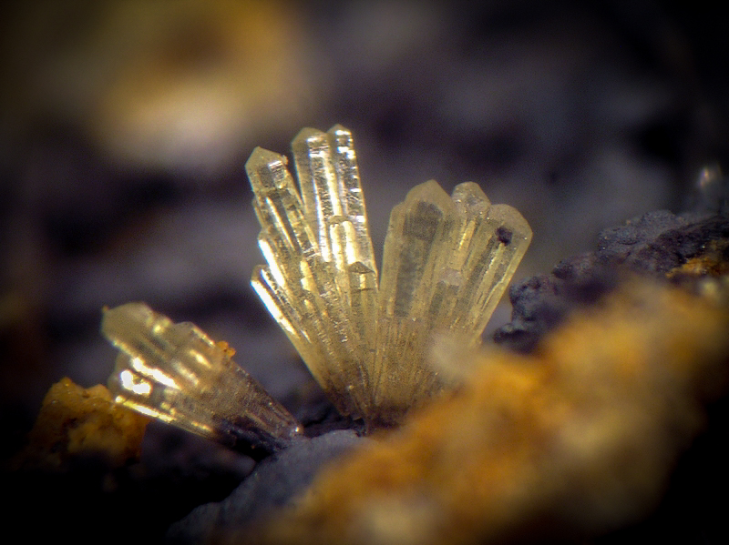 champ 3mm Mimétite Can Pei Montferrer Pyrénées Orientales CB Champ 3 mm.jpg