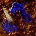 Azurite - Cap Garonne Sud - Var 