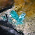 Calédonite - St Pal de Mons - Haute-Loire 