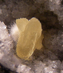 Calcite - Bras de Cilaos - La Réunion