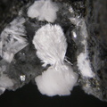 Pectolite  - Rivière du Mât - La Réunion
