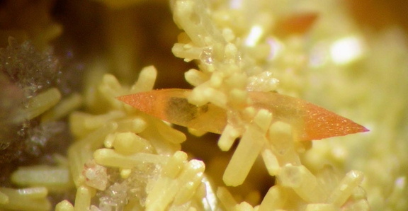Wulfenite - Lantignié  - Rhône