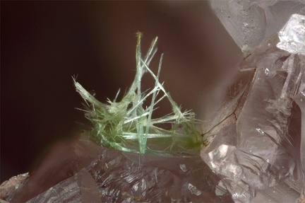 Agardite - Lantignié  - Rhône