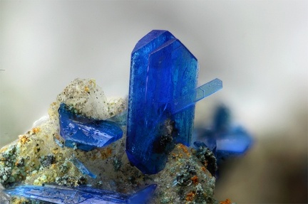 Linarite - Longefay  -  Poule les Echarmeaux -  Rhône