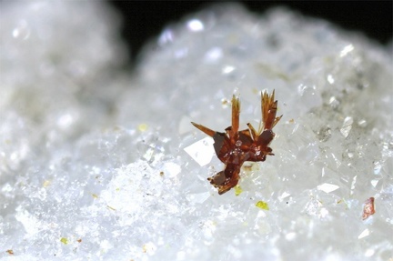 Carminite - Le Tistoulet - Padern - Aude