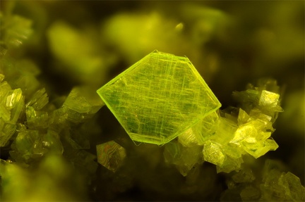 Autunite - La Faye - Grury - Saône et Loire