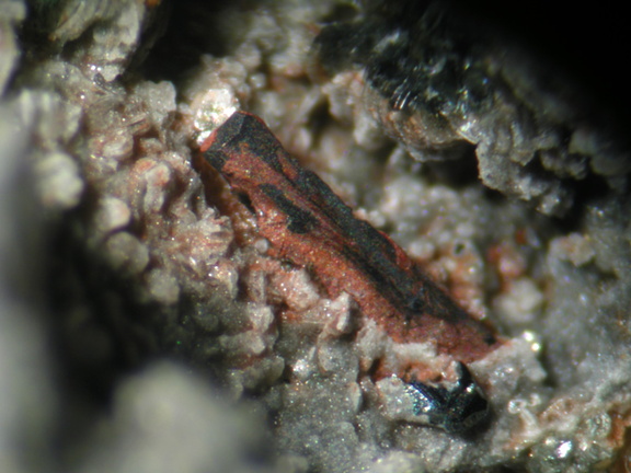 Brannerite - Mont-Cenis - Val-Cenis - Savoie