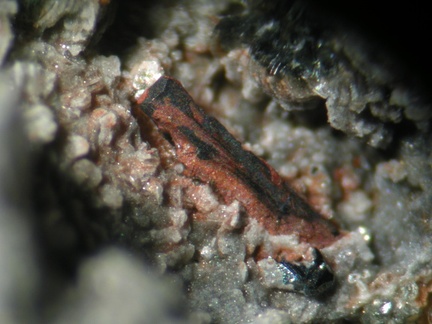 Brannerite - Mont-Cenis - Val-Cenis - Savoie