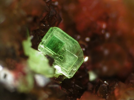 Autunite - Lachaux - Puy de Dôme