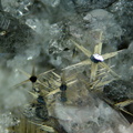 Rutile sur Hematite - St Christophe en Oisans - Isère
