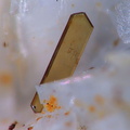 Allanite-(Ce)  - Trimouns - Ariège
