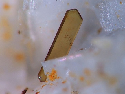 Allanite-(Ce)  - Trimouns - Ariège