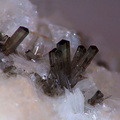 Allanite-(Ce)  - Trimouns - Ariège