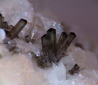 Allanite-(Ce)  - Trimouns - Ariège