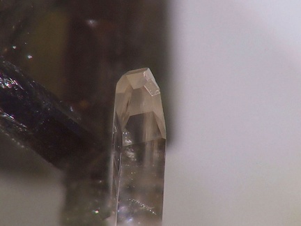 Iimoriite-(Y) - Trimouns - Ariège