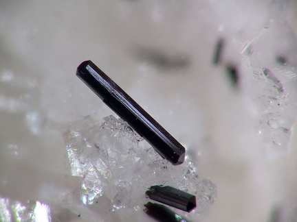 Goethite - Mont Roc - Tarn