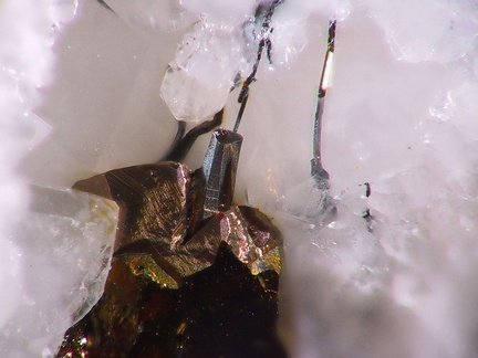 Bismuthinite - Mont Roc - Tarn