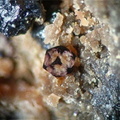 Fluorite - Les Jalerys - Grury - Saône-et-Loire