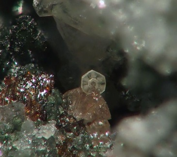 Monazite-( Ce) - Titanite - Rocher du Bari - Mercus Gabarret - Ariège