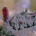 Pyrargyrite - Carrière du Rivet - Montredon-Labessonié - Tarn