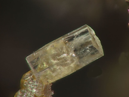 Willemite - Carrière du Rivet - Montredon-Labessonié - Tarn 